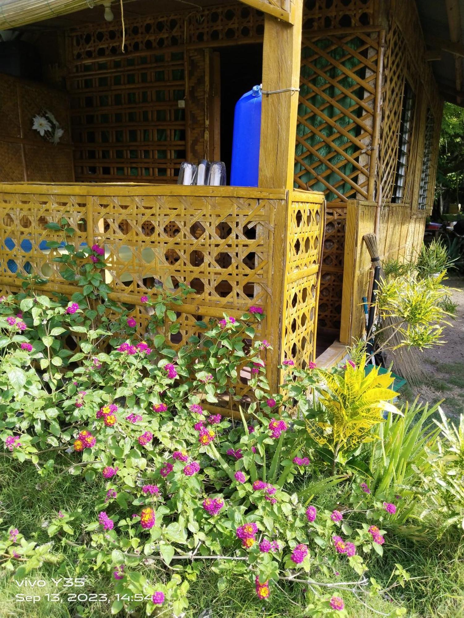 Shirley'S Cottage - Pamilacan Island Baclayon Kültér fotó